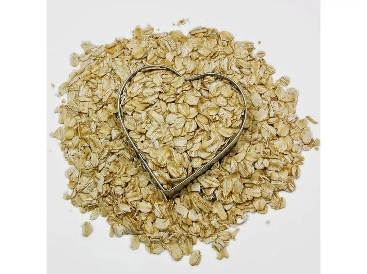 Avena sativa, i chicchi