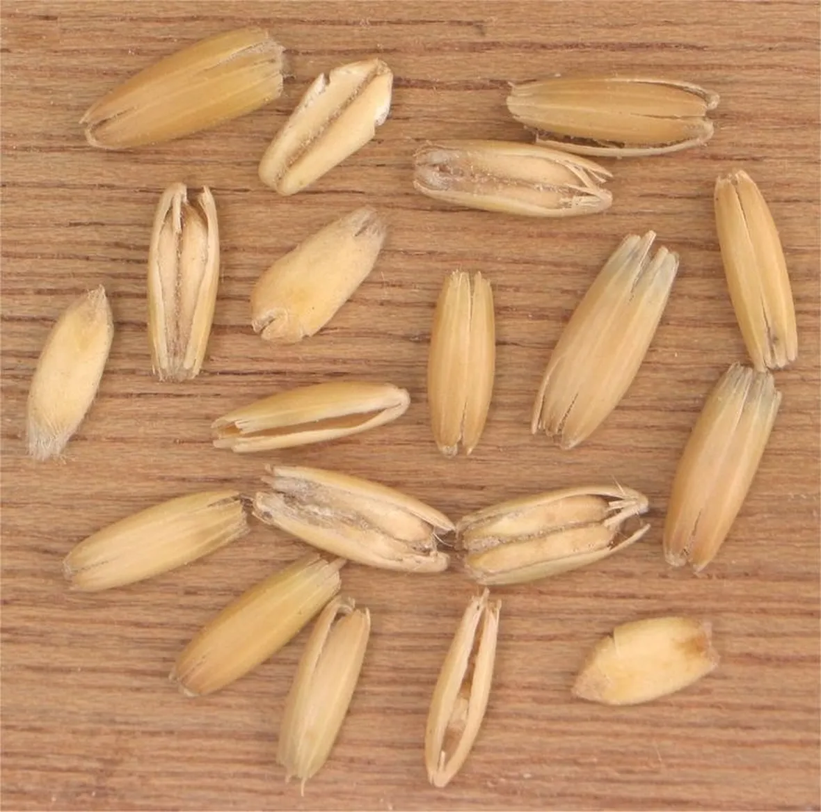 Carossidi di avena sativa