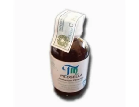 pilosellatm_zpsdd3e8521
