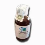 pilosellatm_zpsdd3e8521