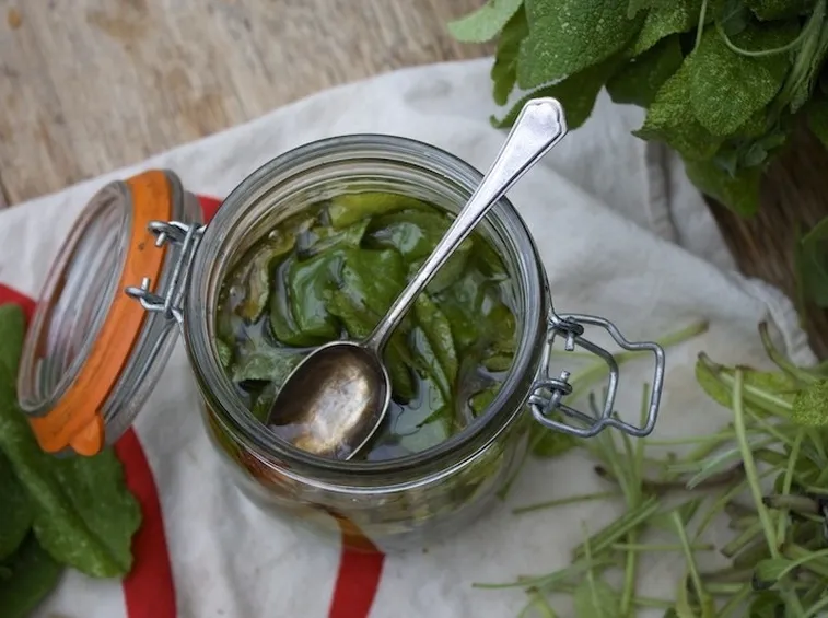 Foglie di salvia messe a macerare nell'alcool per ottenere la tintura madre di salvia