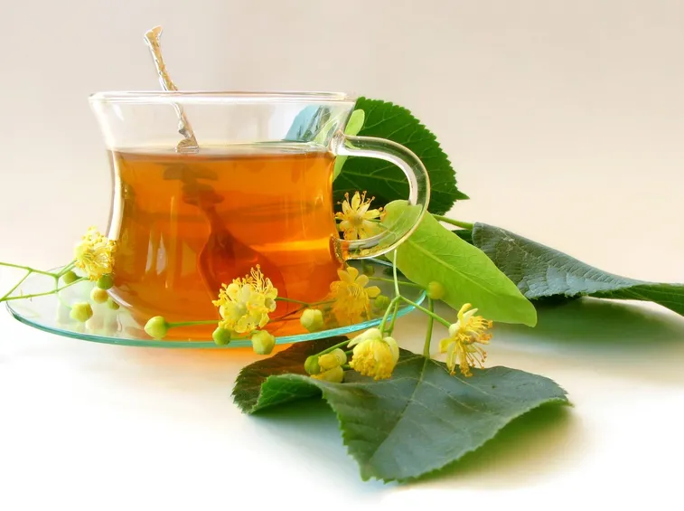 tisana di betulla