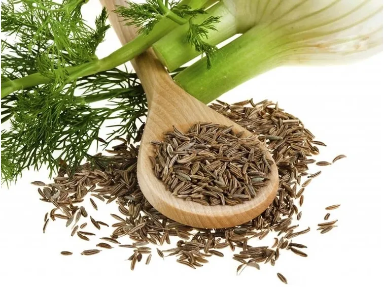 Proprietà benefiche delle tisane