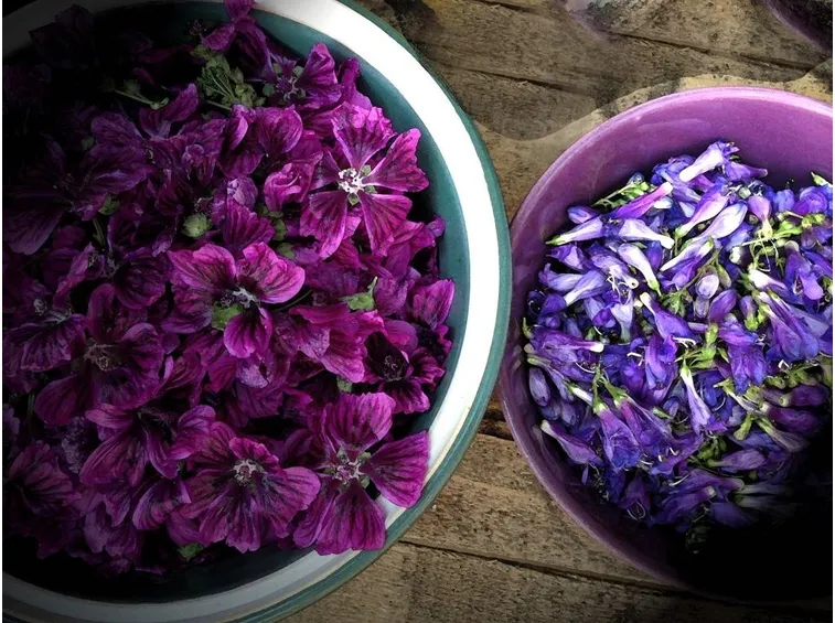 Fiori di malva essiccati