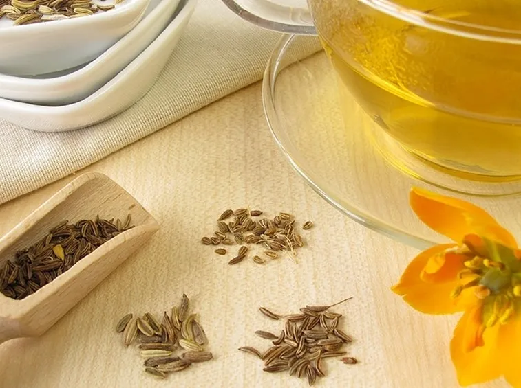 tisana ai semi di finocchietto