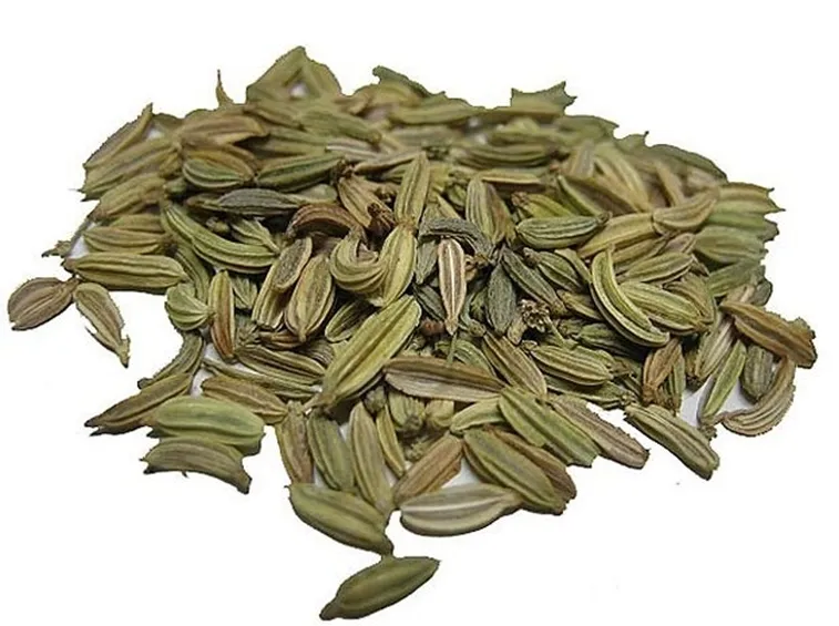 Tisana ai semi di finocchio