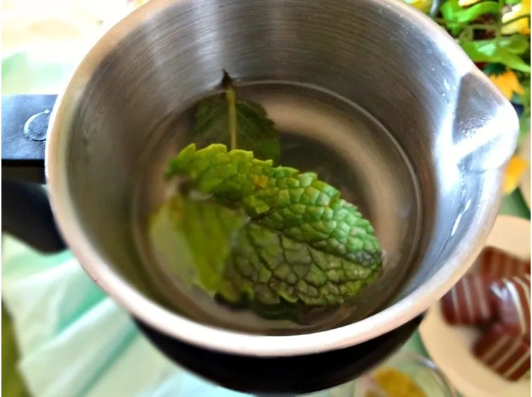 Quali disturbi si alleviano con la tisana alla menta