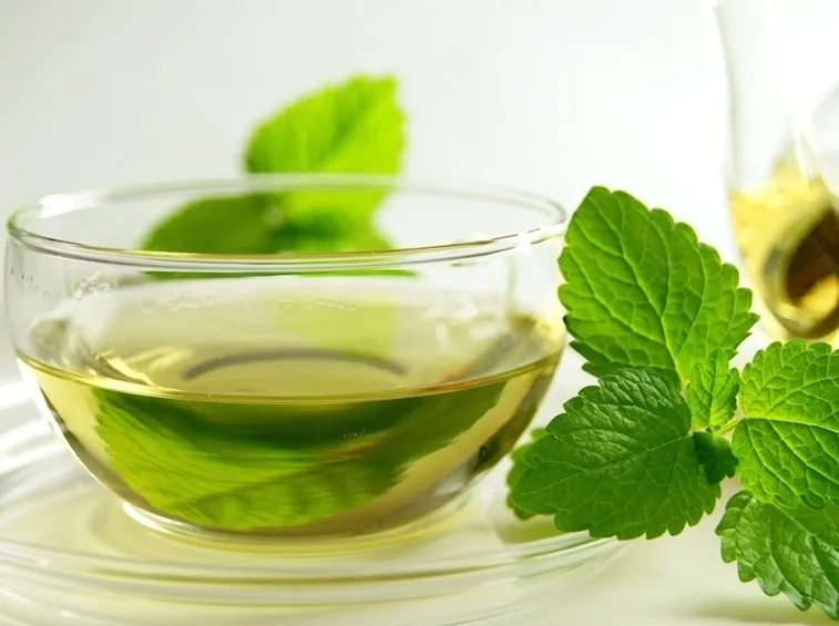 Quali tipi di menta utilizzare