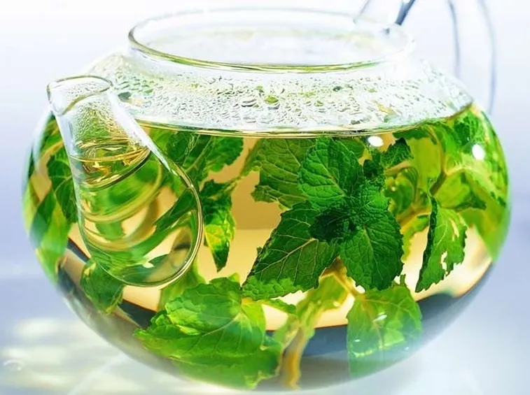 Come si prepara la tisana alla menta