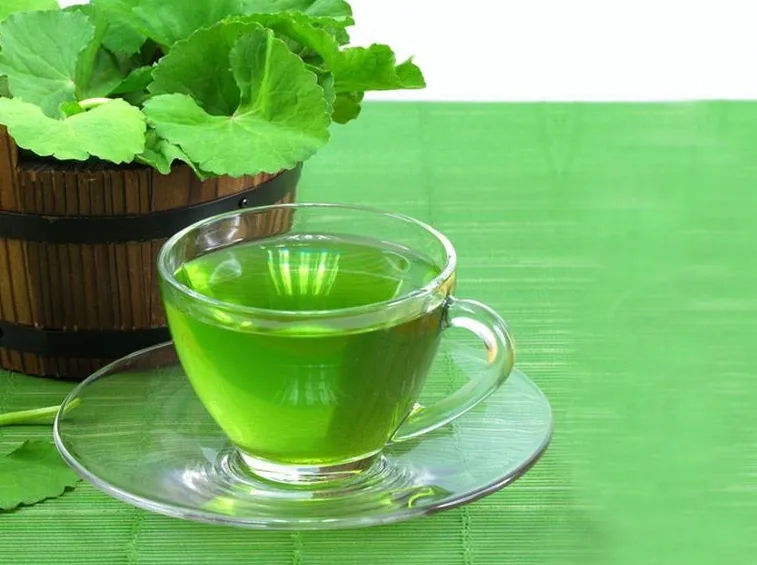 Tisana preparata con centella asiatica