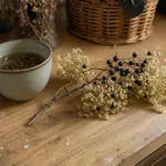 Perché il sambuco è la pianta delle tisane invernali