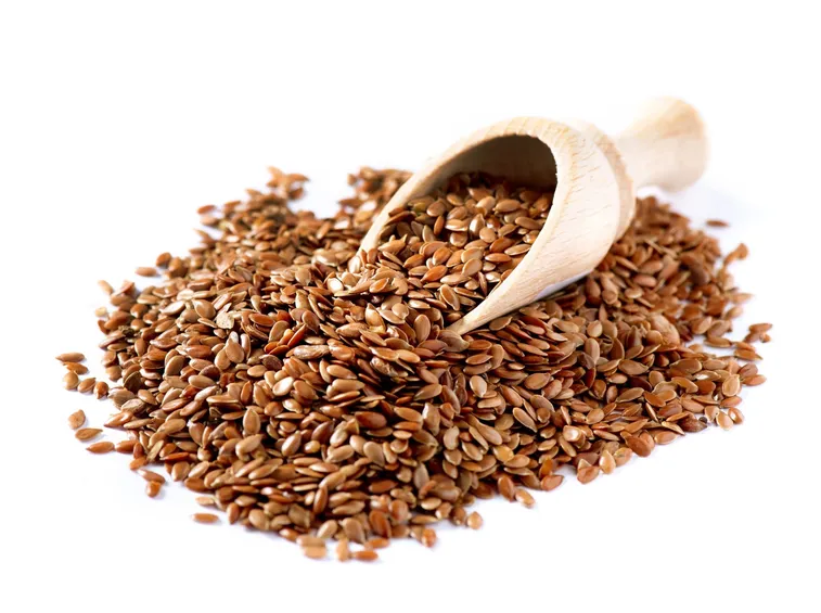 Semi di lino (Linum usitatissimum)