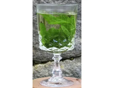 tisana di erbe 