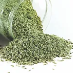 semi di finocchio