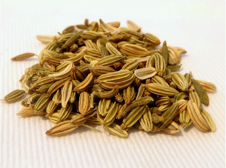 Semi di finocchio