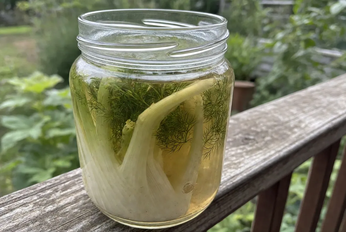 Tisane al finocchio