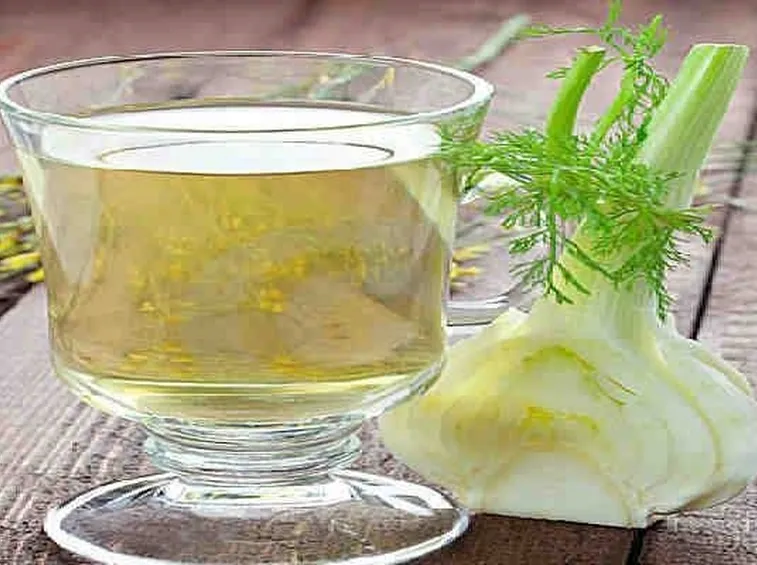 Tisana a base di finocchio (Foeniculum vulgare)