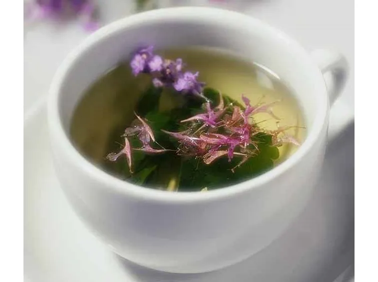 tisane per dimagrire