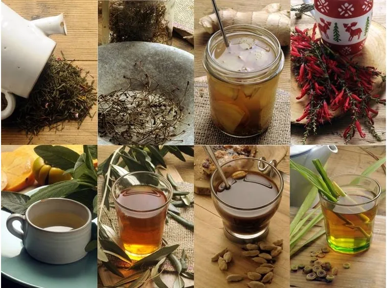 Le tisane, ingredienti e preparazione