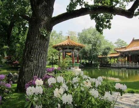 Giardino fiori cinesi