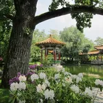 Giardino fiori cinesi