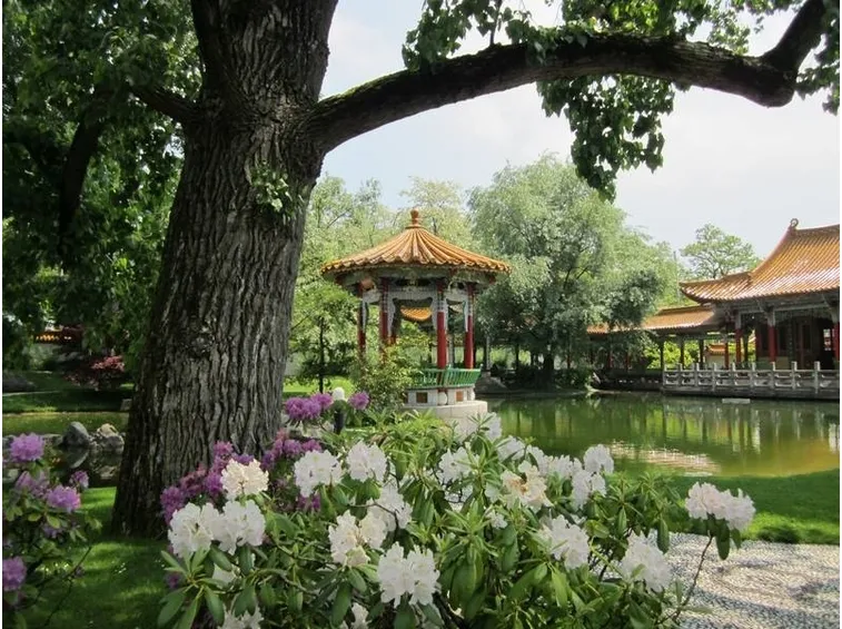 Giardino fiori cinesi