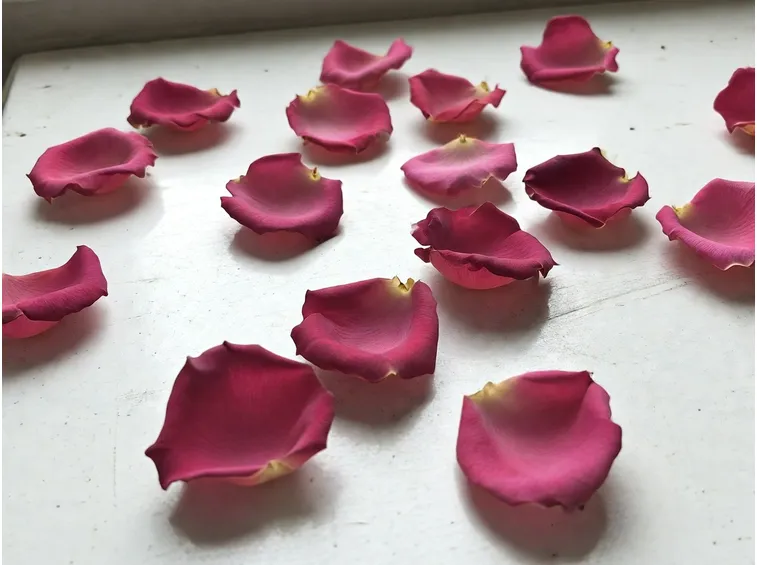 Quando raccogliere i fiori e come conservarli freschi