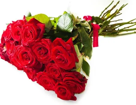 Un mazzo di rose rosse