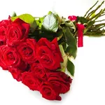Un mazzo di rose rosse