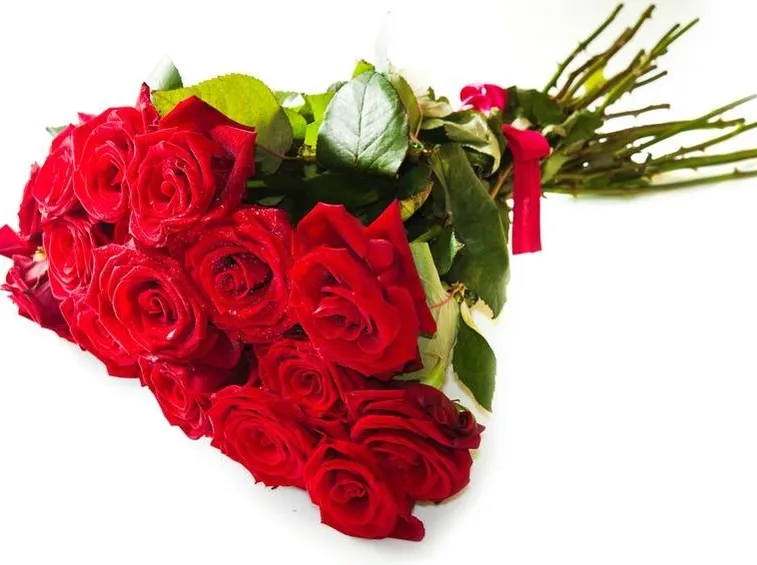 Un mazzo di rose rosse