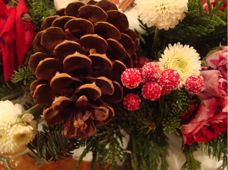 Decorazioni floreali natalizie