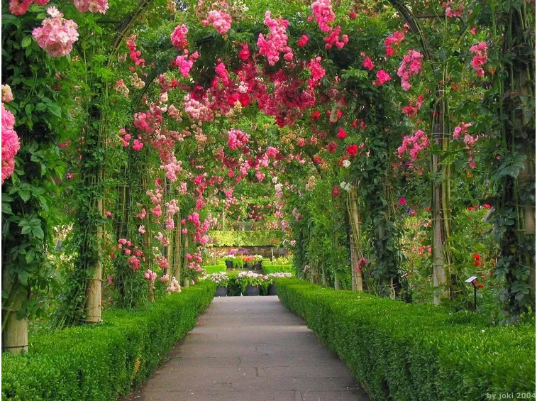 giardino fiorito