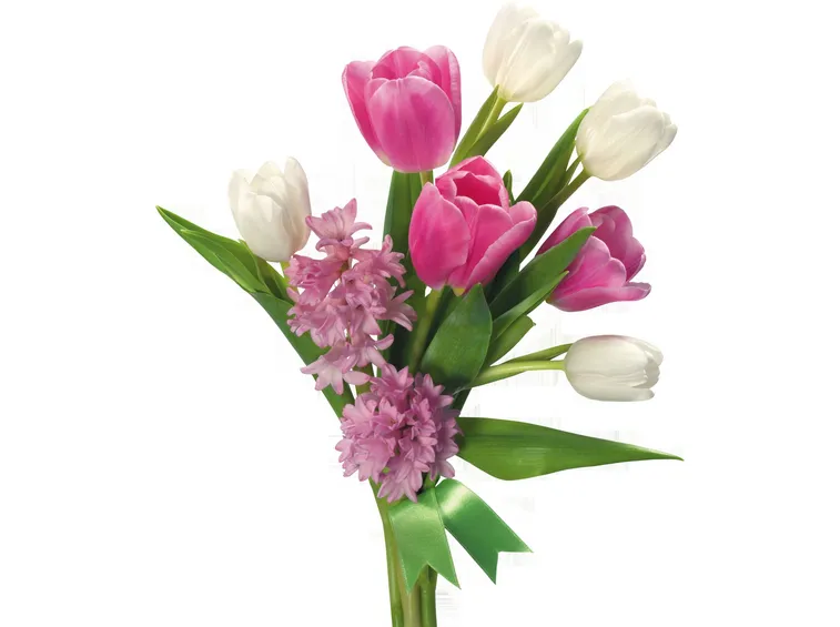 Fiori recisi da mettere in vaso