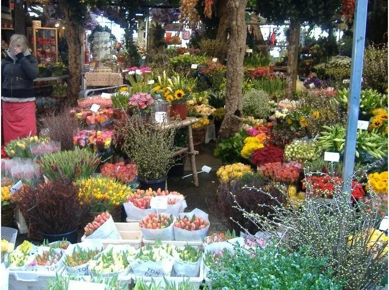 Un mercato di fiori