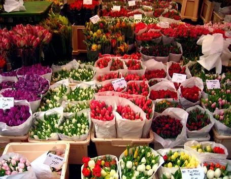 Un mercato dei fiori in una piazza