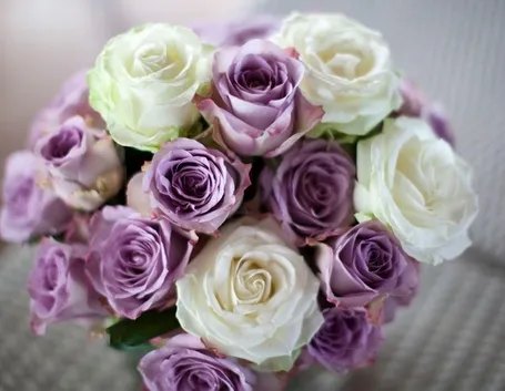 addobbi rose colorate