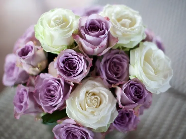 addobbi rose colorate