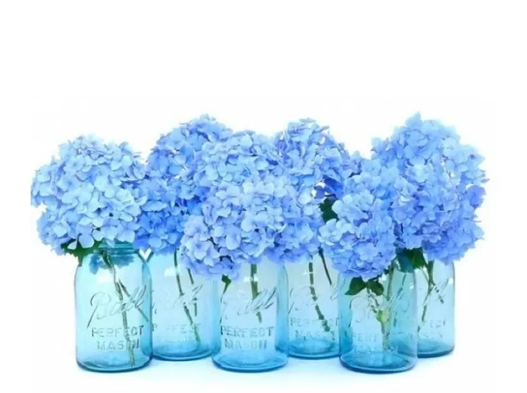 addobbo floreale ortensia