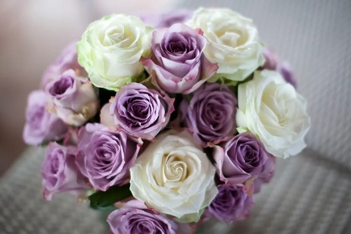 addobbi rose colorate