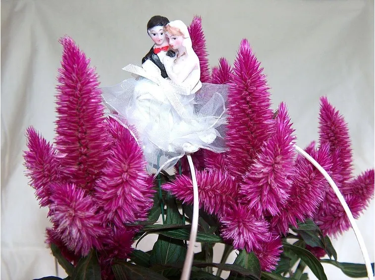 Soggetto simbolo del matrimonio