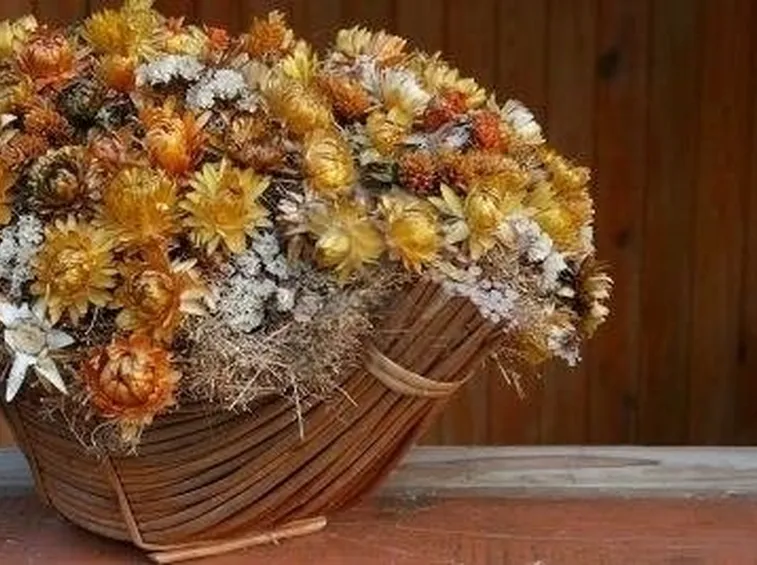 Composizioni fiori