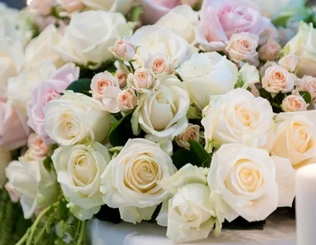 Rose in vari colori