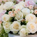 Rose in vari colori
