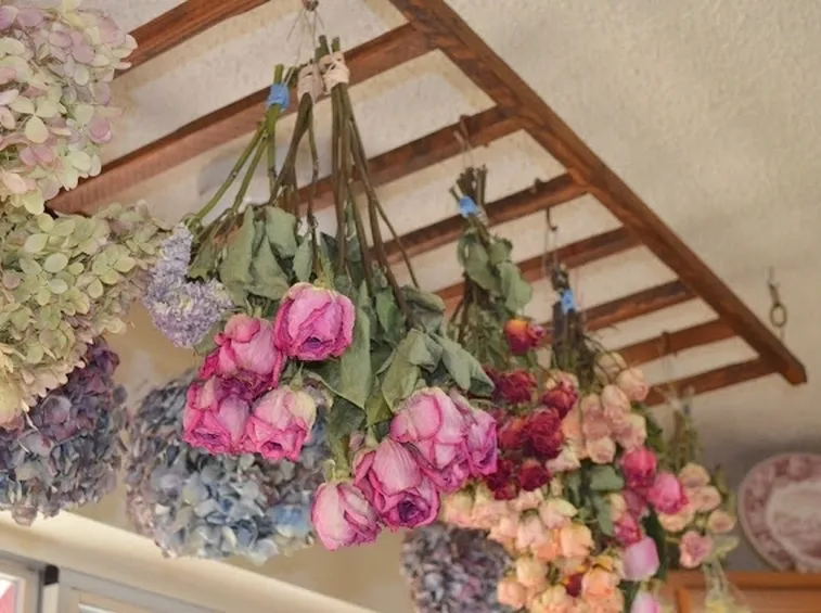 Come far seccare i fiori