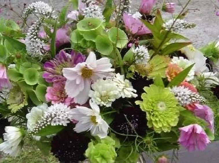 Fiori recisi