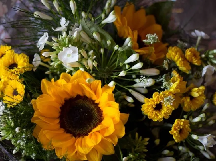 Fiori laurea