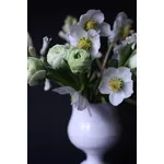 Fiori Cresima