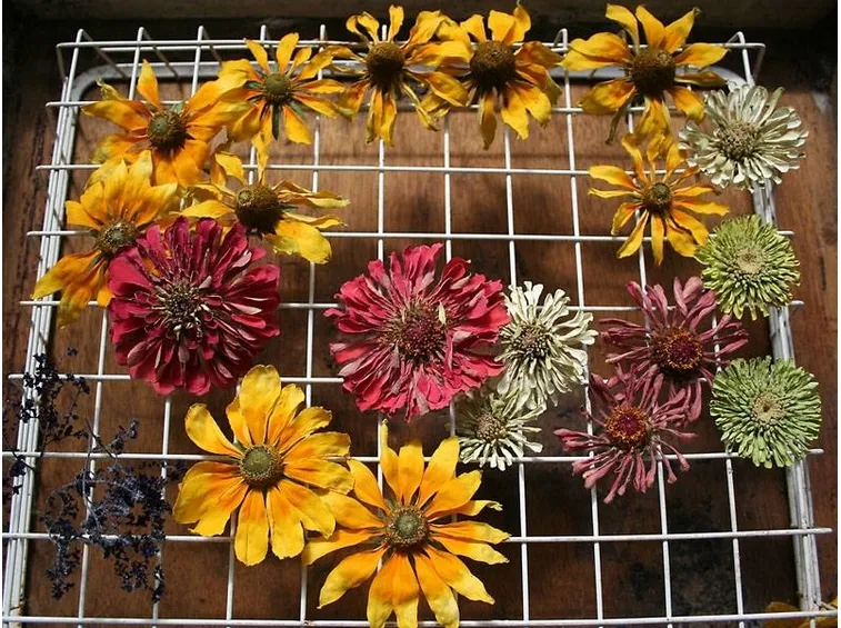 composizione fiori recisi