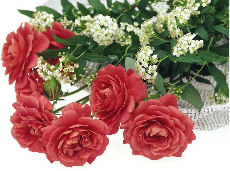 romantico fascio di rose