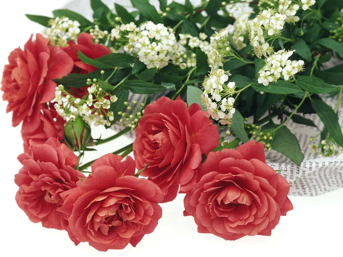 romantico fascio di rose